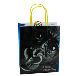 Custom Machine Made Coated Paper Bags Shopping Bags with Twisted Handles