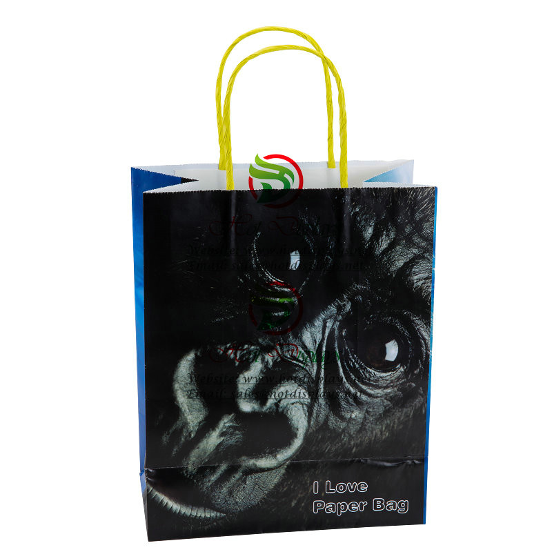 Custom Machine Made Coated Paper Bags Shopping Bags with Twisted Handles
